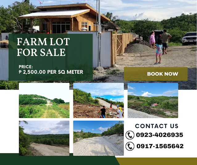 Farm Lot in Bogo City Cebu