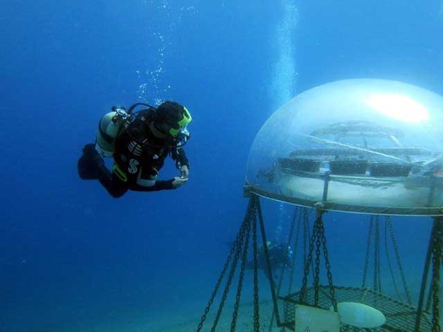 kubah transparan di bawah laut