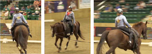 Three images side by side of a vaulter sitting on a cantering horse in basic seat position. The shots show different angles of the same move, with the arms straight by the vaulter's sides in the first two pictures and with the vaulter gently holding the handles in the third. The third is the most 'side-on' and shows the leg with the ankle in a line down from the hip.