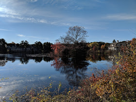 Spruce Pond on a sunny day in November 2018