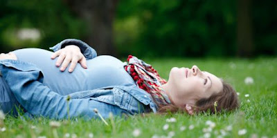11 Vitamin Ibu Hamil, ibu hamil