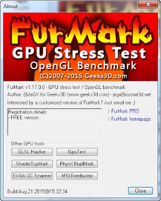 FurMark v1.17.0.0 GPU Stress Test