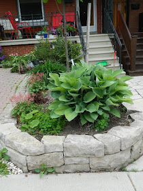 New Wychwood Toronto front garden perennial bed Before by Paul Jung Gardening Services--a Toronto Gardening Company