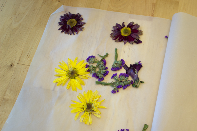 How to Make Dried Flower Suncatcher easy spring craft with kids