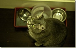 JB_20090509_0049