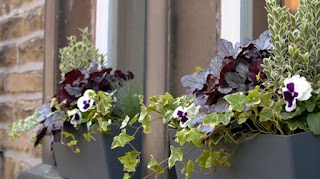 window box