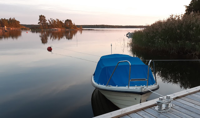 lingonberryhouse, leisure home, mökki, puutarha, garden, syksy, autumn, liila, lila, green, vihreä, nature, luonto, kukka, flower