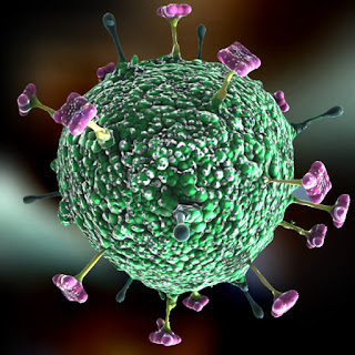 The Nipah Virus