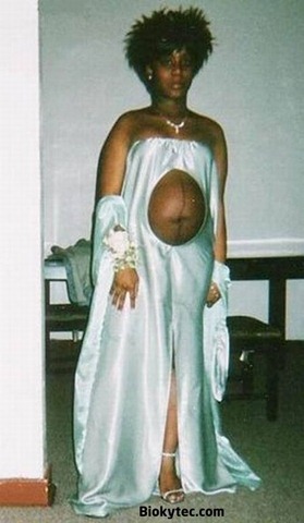 el_pero_vestido_de_novia_del_mundo_-_www_Biokytec_com