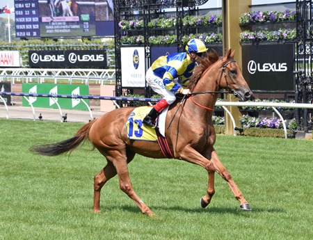 race 6_thunder cloud 2 race 6_thunder cloud 2
