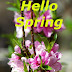 Top 10 Hello Spring Images greating Pictures,Photos for Whatsapp