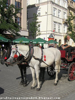 Krakowski Rynek Główny