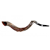 Shofar kudu 37 " Natural corte corona 