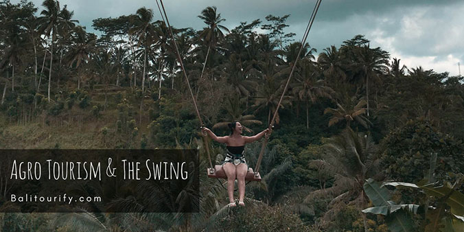 The Agro Tourism and The Bali swing, one day Ubud tour package to experience best spots in Ubud Bali