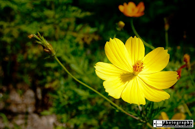 ParadiZoo theme farm, Tagaytay