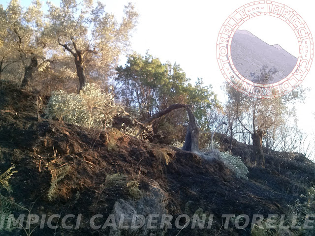 Incendio sul Massico Avezzano, Sorbello