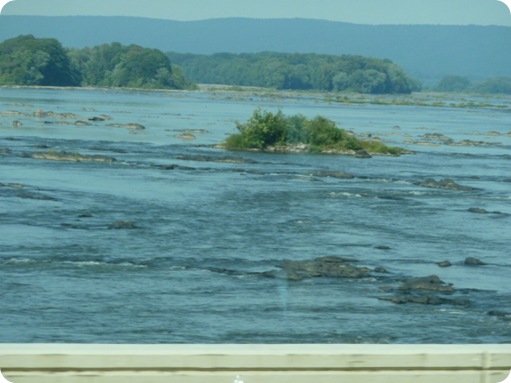 to Campbell, NY 008