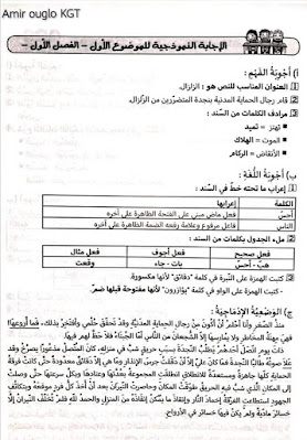 الاجابة النموذجية لاختبار اللغة العربية