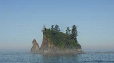 Olympic Coast - Scott's Creek Camp