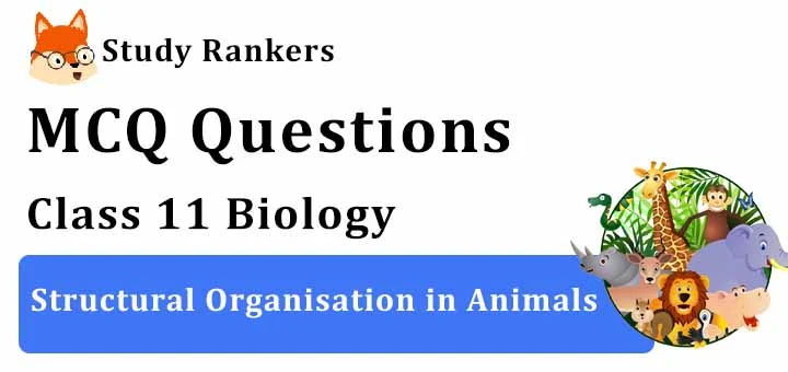 MCQ Questions for Class 11 Biology: Ch 7 Structural Organisation in Animals