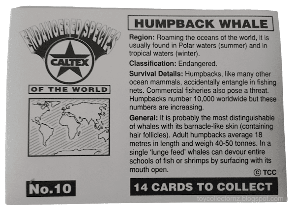 Humpback Whale Lenticular Card Number 10 of 14 cards rear view showing lots of information about habitat, size, diet and region found from the Caltex Collectible Cards 1995 Endangered Species of the World