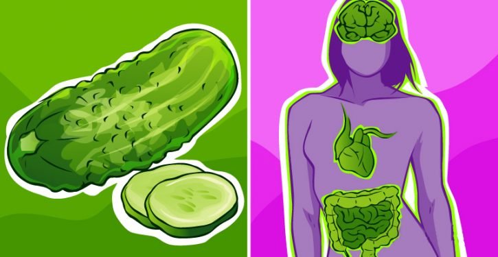 Start Eating Cucumber Tody : 10 Health Benefits Of Cucumbers In More Details.