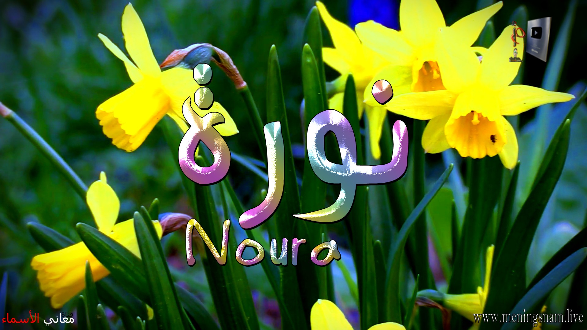 معنى اسم, نورة, وصفات, حاملة, هذا الاسم, Noura,