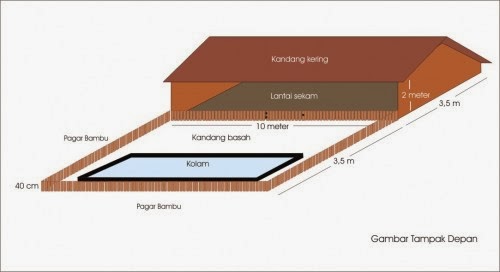 kandang bebek yang baik untuk ternak images | ternak kenari, ternak kambing, ternak bebek, ternak lele, budidaya ikan lele, ikan hias, gambar ikan | UsahaTernak