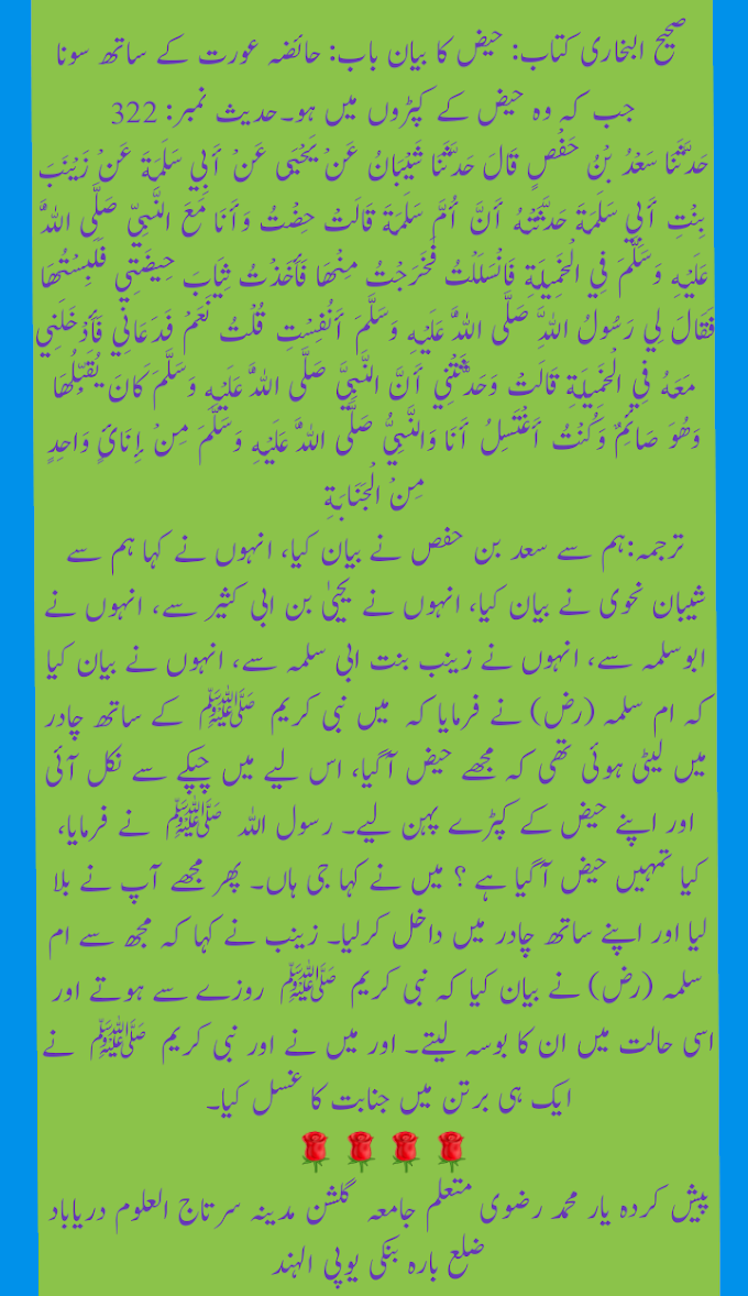 صحیح البخاری کتاب: حیض کا بیان باب: حائضہ عورت کے ساتھ سونا جب کہ وہ حیض کے کپڑوں میں ہو۔حدیث نمبر: 322