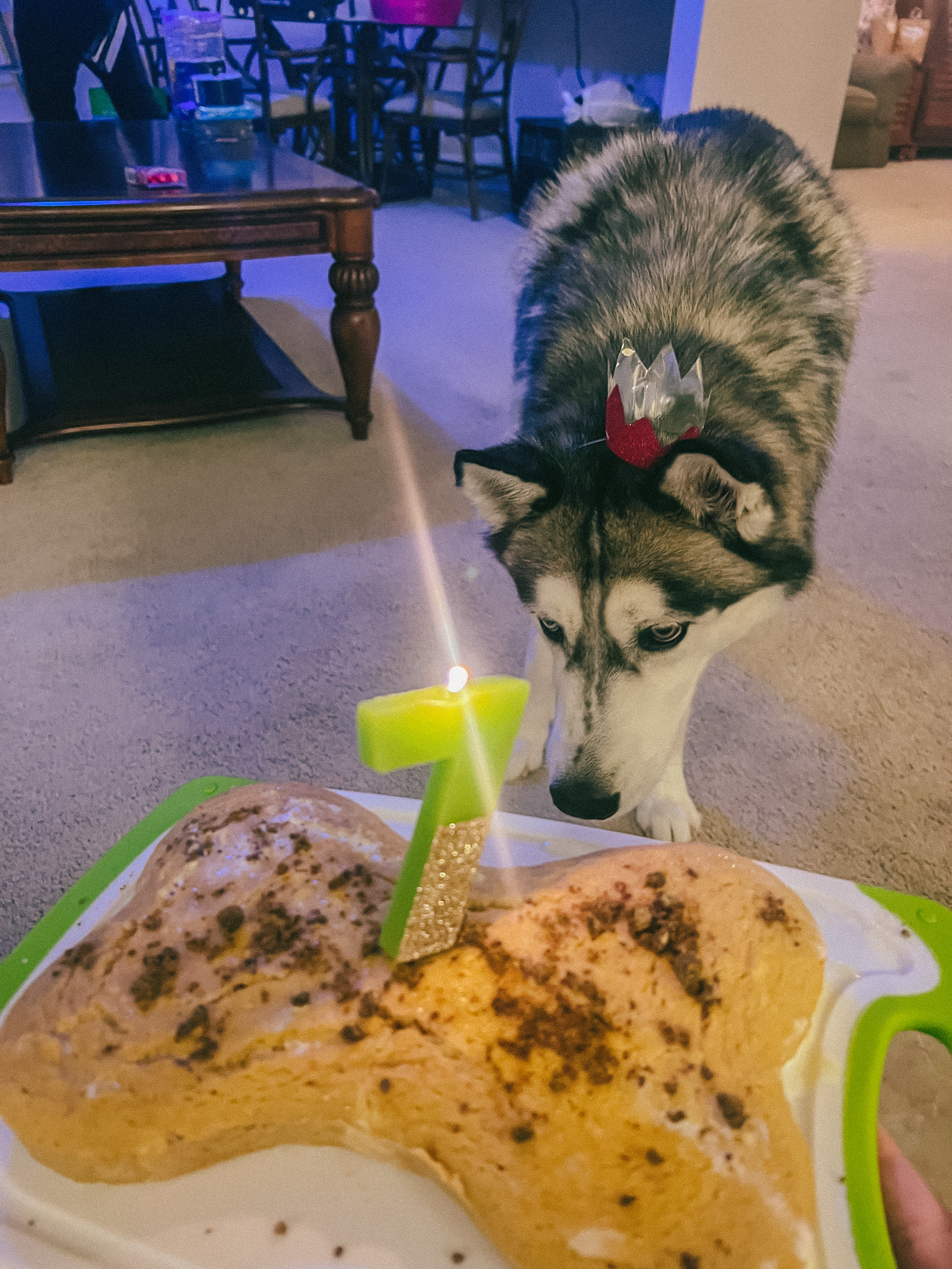 Oliver's 7th Birthday