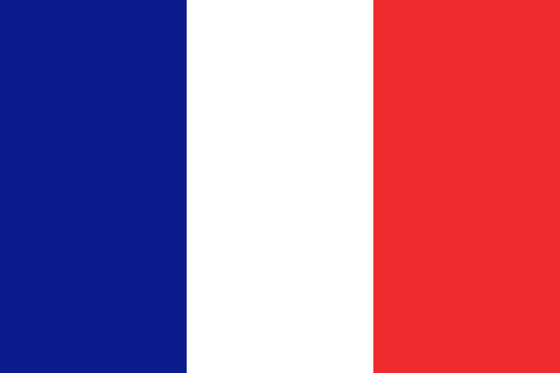 the flag of france. flag of france.