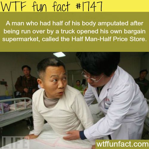 Amazing Weird And Interesting Random Facts