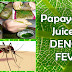 How to use Papaya leaf juice for Dengue Fever