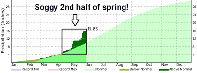 rainsurplus_spring12