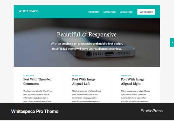 Whitespace Pro Theme Award Winning Pro Themes for Wordpress Blog :Award Winning Blog