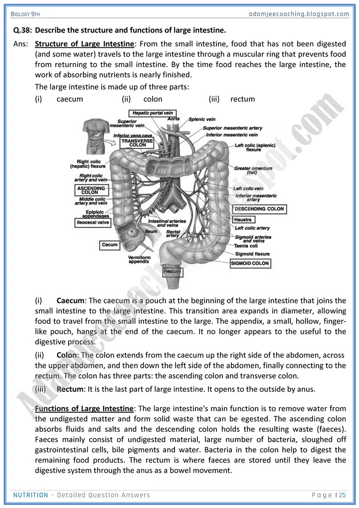 nutrition-detailed-question-answers-biology-9th