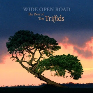 The Triffids - Wide Open Road The Best Of