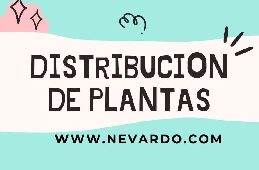 DISTRIBUCION DE PLANTAS