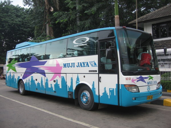  SabtuNgebus Bis Asli Indonesia