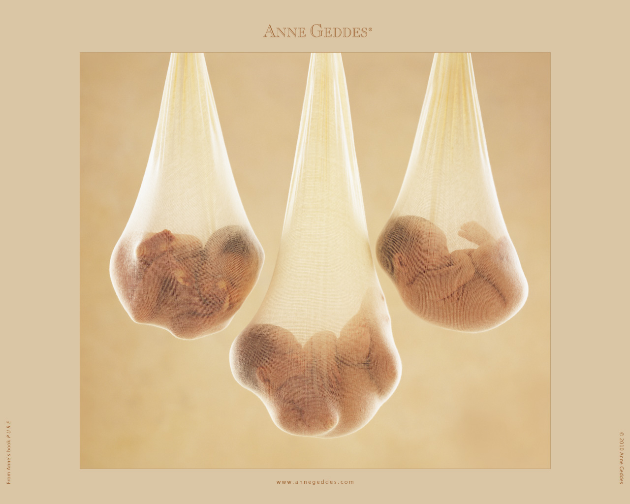 Anne Geddes - Avril 2010