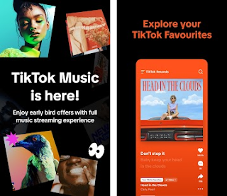 TikTok Music APK