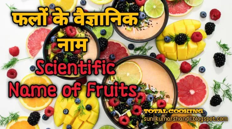 फलों के वैज्ञानिक नाम | Scientific Name of Fruits in Hindi