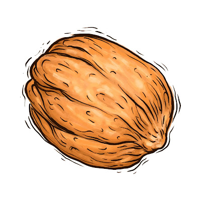 100+ Free Cartoon Images of Walnut dry fruit