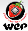 WeP Peripherals Limited