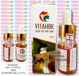 Vita HBK adalah produk premium suplemen multivitamin dosis tinggi yang sangat aman digunakan. Cocok digunakan untuk suplemen pleci, ciblek murai, kacer, pentet dan semua burung lainnya.