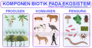 PERBEDAAN BIOTIK DAN ABIOTIK