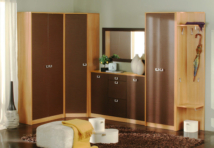 #10 Wardrobe Design Ideas