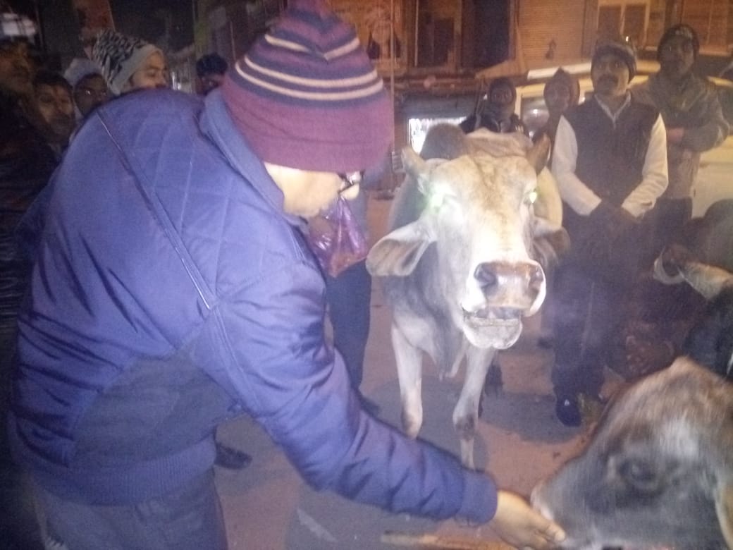 चित्र