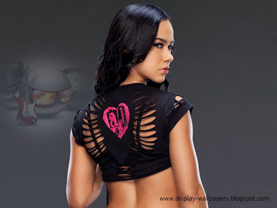 AJ Lee Latest Wallpapers 2014