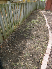 Mount Pleasant East Davisville Spring Backyard Garden Cleanup After by Paul Jung Gardening Services a Toronto Gardening Company